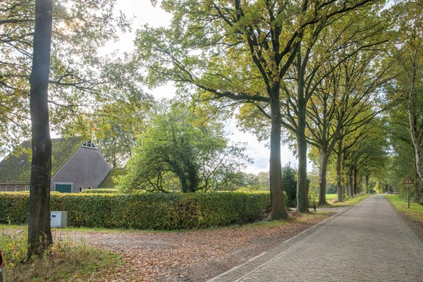 Witte Menweg 3, 7917TK Geesbrug (4).jpg